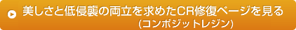 コンポジットレジン修復ページを見る