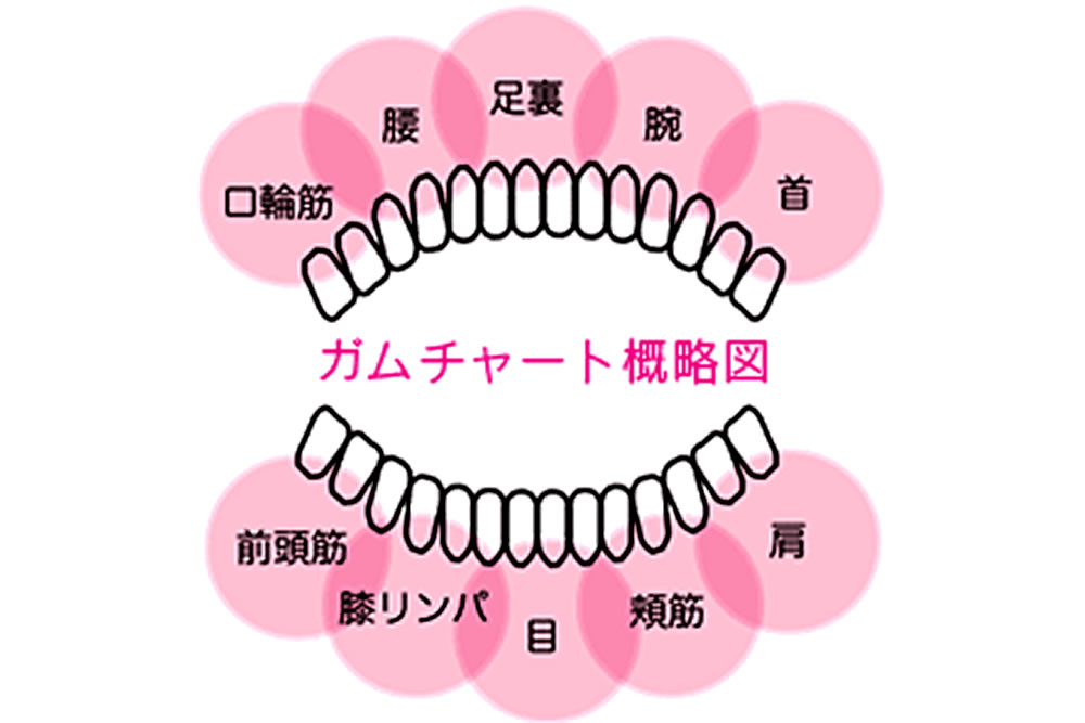 ガムチャート